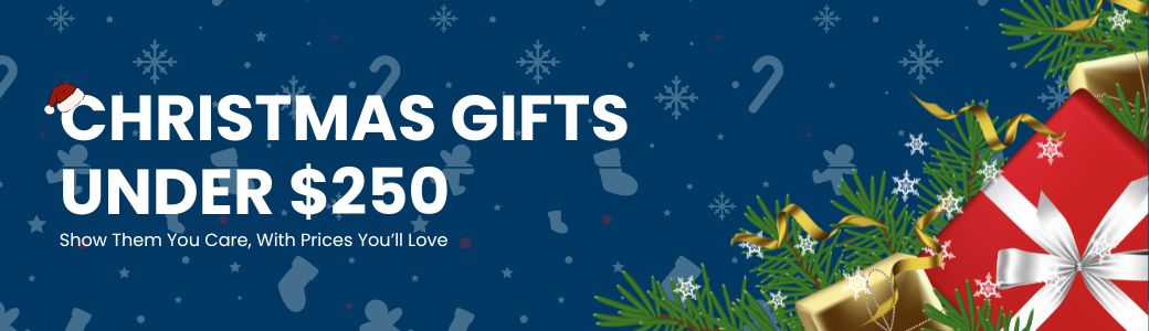 Christmas Gifts Under $250